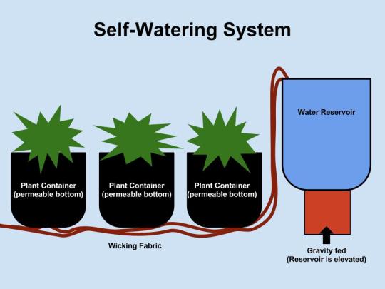 Tools: Self-Watering Plant System